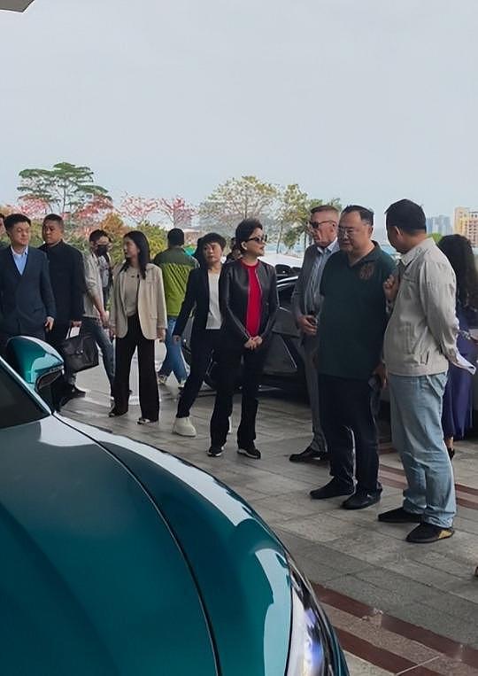 杨澜参加车展,全程被冷落(组图) - 1
