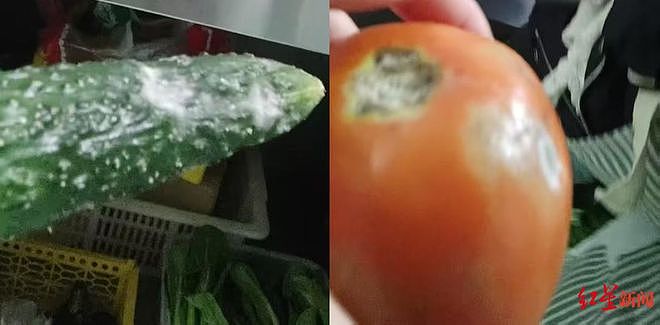 卧底3家轻食外卖连锁，中国记者曝出惊人内幕！发霉果蔬榨汁，隔夜变味菜挑出来继续卖（组图） - 2