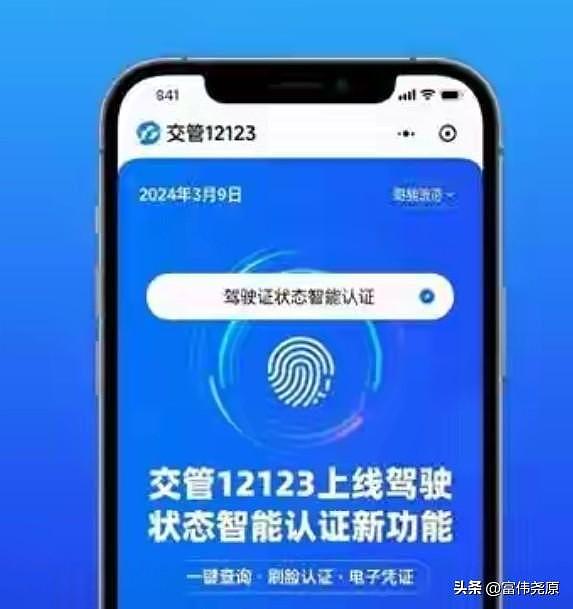 中国上线电子驾照“三色码”,红色等同无证驾驶!华人回国开车必看(组图) - 1
