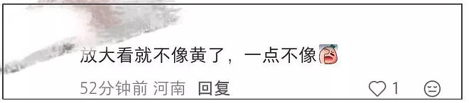 48岁黄晓明跑步被偶遇,穿4厘米增高鞋戴假发片,网友:活得太累 - 11