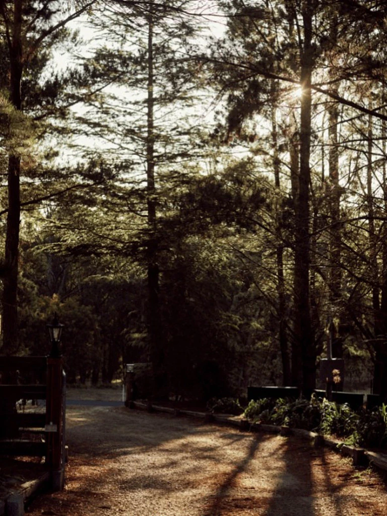 悉尼周边宝藏度假地！隐匿于蓝山深处的“美式牧场”，开启一场避世之旅（组图） - 16