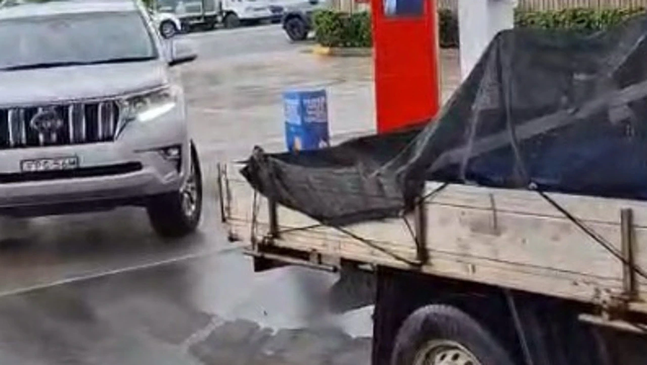 加满一箱油竟要$325!新州多地爆发油荒,加油站被抢空紧急停业(组图) - 2