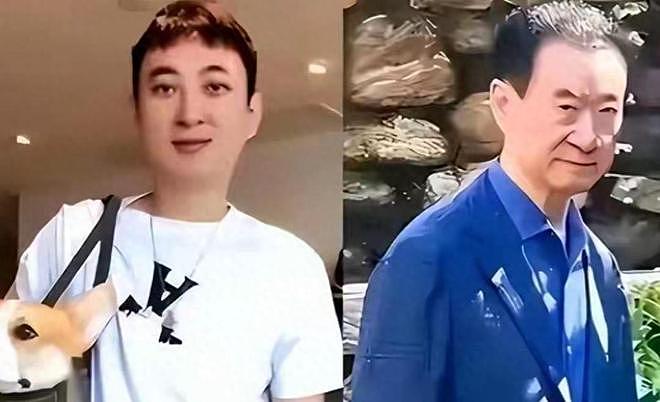 72岁王健林再卖万达资产,近照骨瘦如柴,在日本的思聪也传坏消息(组图) - 12