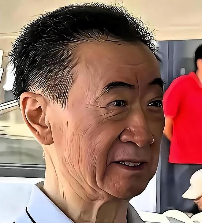 72岁王健林再卖万达资产,近照骨瘦如柴,在日本的思聪也传坏消息(组图) - 17