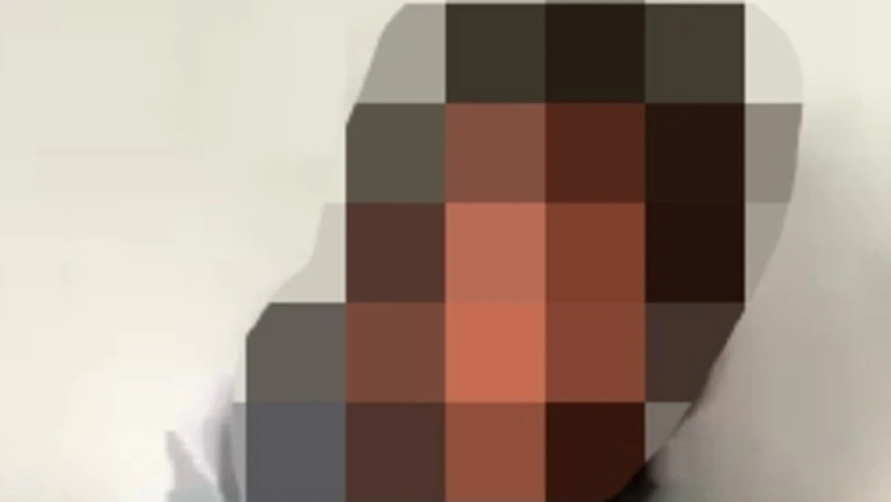 悉尼中学爆惊天霸凌!女生被逼学狗叫,头塞马桶,15个账号全网羞辱受害者(组图) - 4