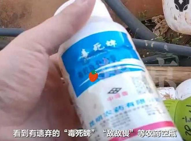 中国315,草莓第一个翻车!重金属农残超标,敌敌畏随便用(组图) - 2