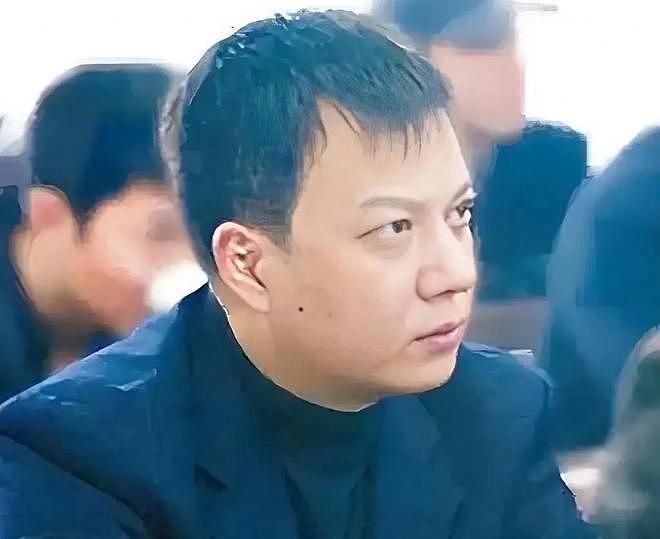 不是黄晓明！也不是马云！如今替赵薇收拾烂摊子的，是这个男人（组图） - 19