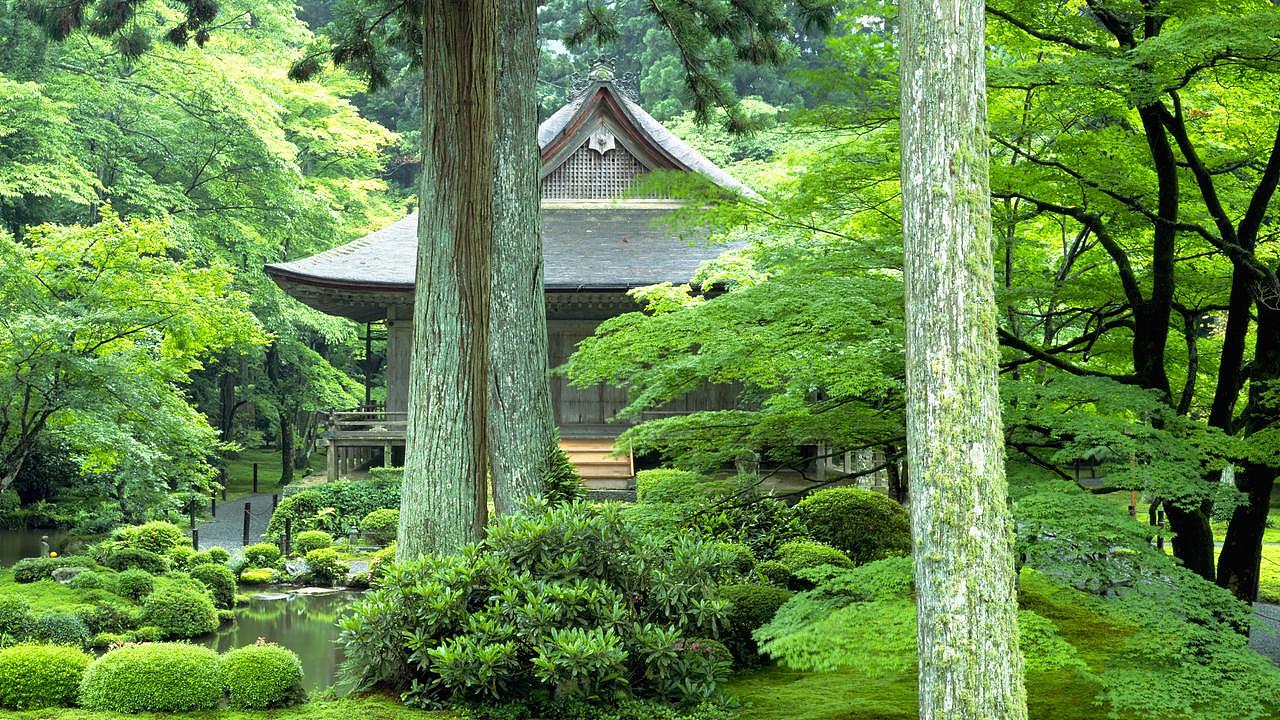 百万澳洲人涌入日本!京都官方发声:我们不限流,但请别再追着艺伎跑了(组图) - 8