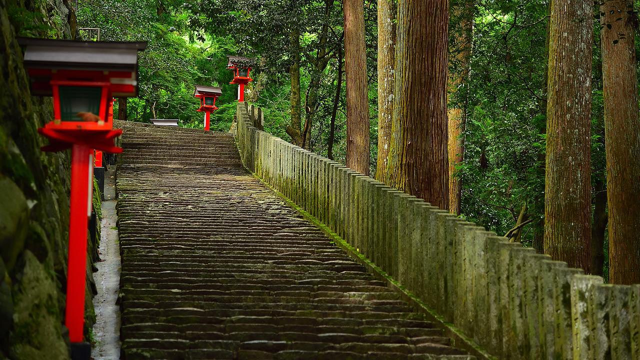百万澳洲人涌入日本!京都官方发声:我们不限流,但请别再追着艺伎跑了(组图) - 9