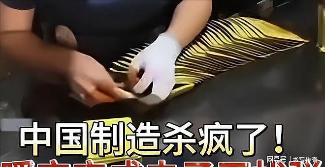 战场全是中国造！中国5款民用货爆火海外，老外越用越上头（组图） - 3