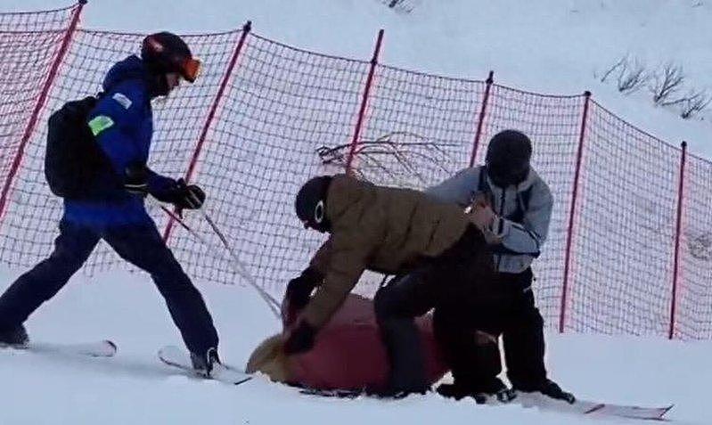 新疆阿勒泰血腥一幕！2级国家保护动物赤狐咬人，疑在雪场被打死（组图） - 3