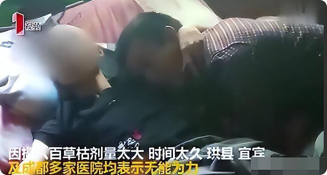 19岁男孩喝百草枯苦熬18天,逼在外打工母亲回家,母亲:你放心去(组图) - 17