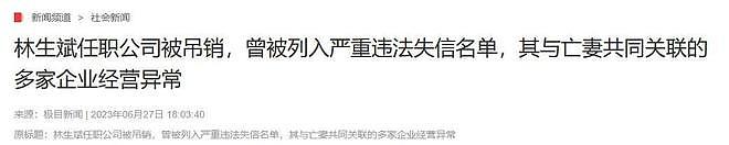 林生斌现状曝光:定居澳洲富人区,一家幸福,现任是前公司员工(组图) - 20