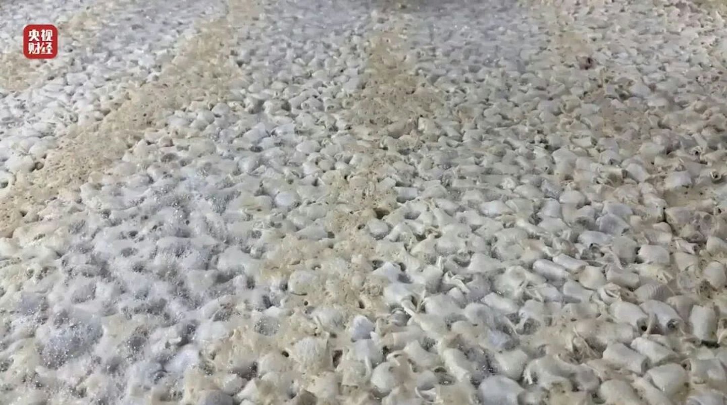 央视曝光