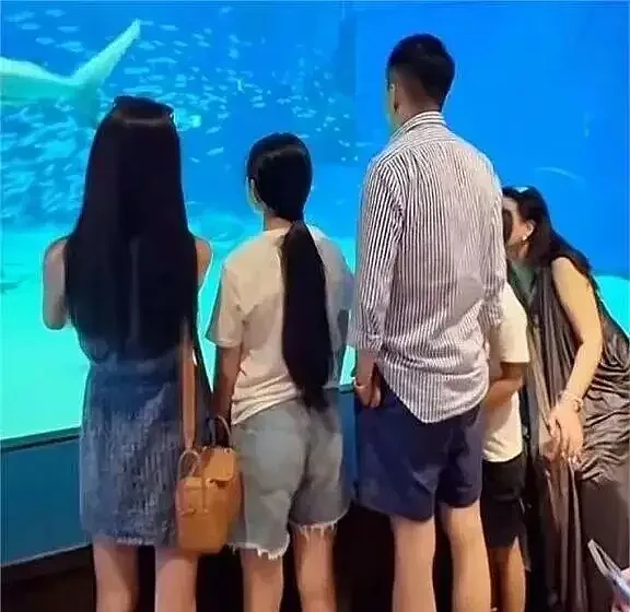 大S走后一年多，终于看懂徐家：可怜之人必有可恨之处（组图） - 3