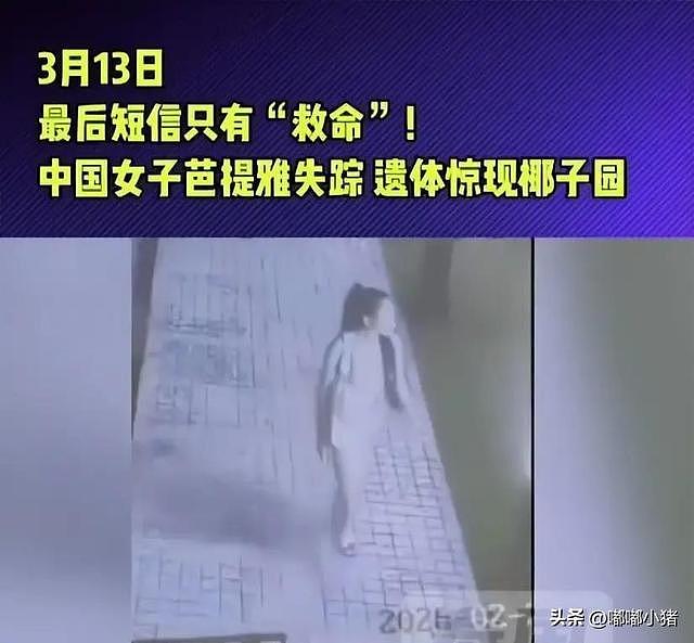 安徽女子泰国遇害案进展:丈夫动机成疑,嫌犯家境优越却狠下杀手(组图) - 3