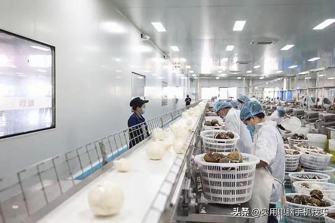 别再喝了！315椰子水集体塌房，全是勾兑糖水，市值蒸发70亿（组图） - 8
