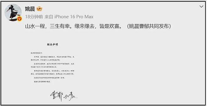 姚晨离婚！本人主动透露两大细节，孩子共同抚养，事业和前夫捆绑（组图） - 2