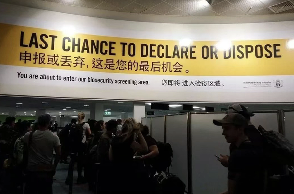 奥克兰夫妇入境申报了,仍被罚400纽币!只因少说几个字...(组图) - 1