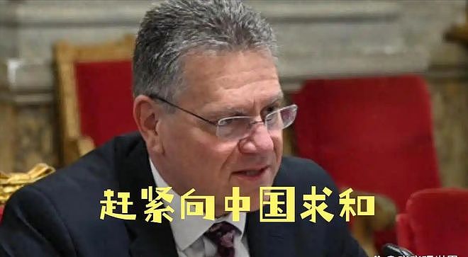 忍无可忍无需再忍!中国对荷兰下最后通牒,后果自负(组图) - 5
