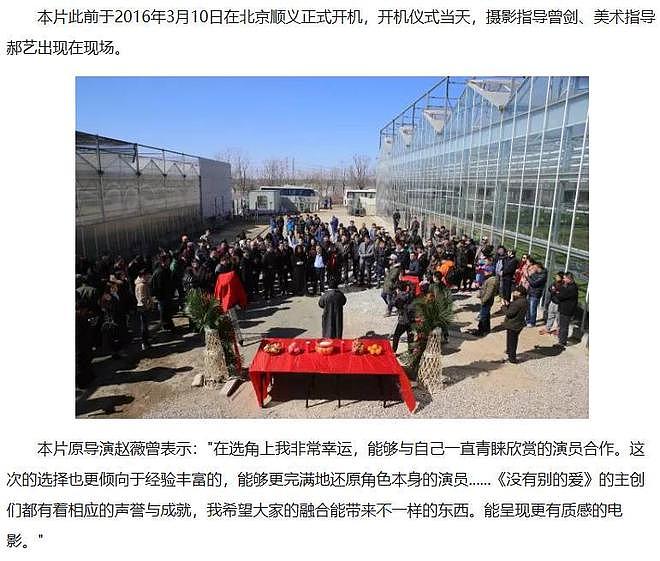 赵薇卷土重来?15年导演作品如今定档,4个影后一台戏,男主已换(组图) - 11