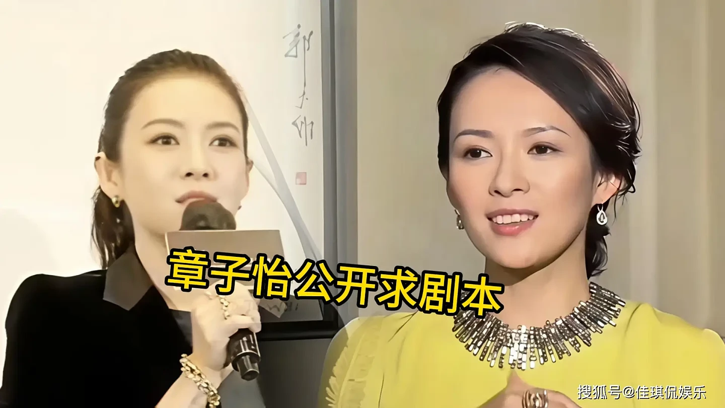 原来汪峰没撒谎!离婚2年后,当众求工作的章子怡...(组图) - 6
