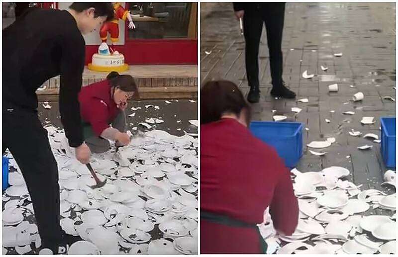 顾客带狗狗到餐厅拍照后，老板砸烂600套盘子（图） - 1