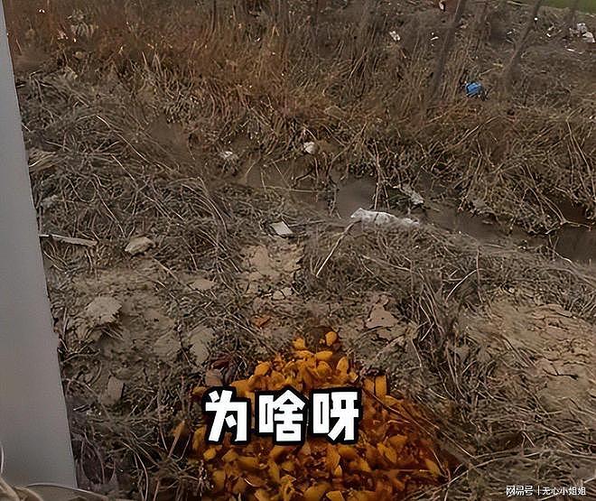 山东“倒饭姐”社死！“老底”被扒，正脸照流出，结局大快人心（组图） - 7