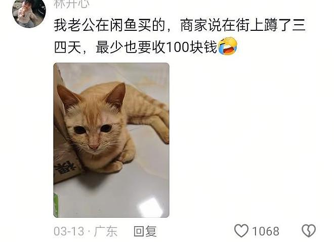 只有想不到,没有买不到!闲鱼奇葩交易大赏,网友:赚钱新思路(组图) - 3