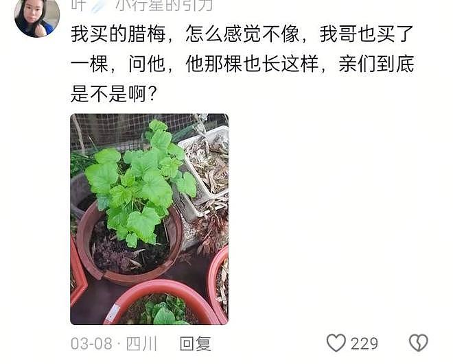只有想不到,没有买不到!闲鱼奇葩交易大赏,网友:赚钱新思路(组图) - 4