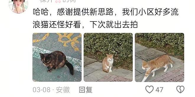 只有想不到,没有买不到!闲鱼奇葩交易大赏,网友:赚钱新思路(组图) - 6