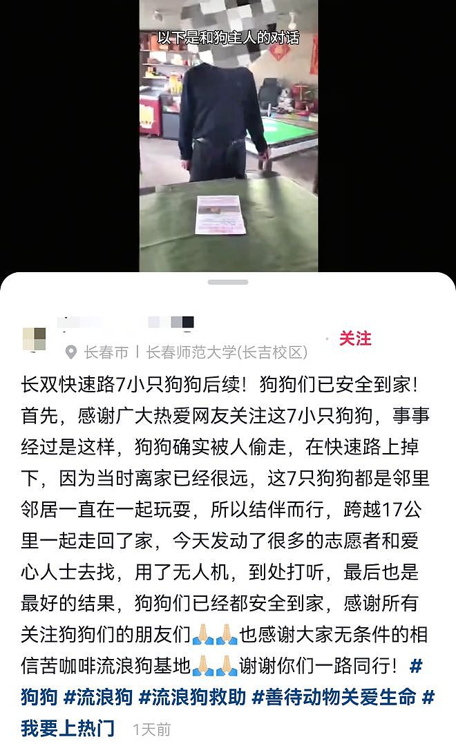现实版汪汪队！同村7只狗被偷，结伴逃亡17公里回家（组图） - 2