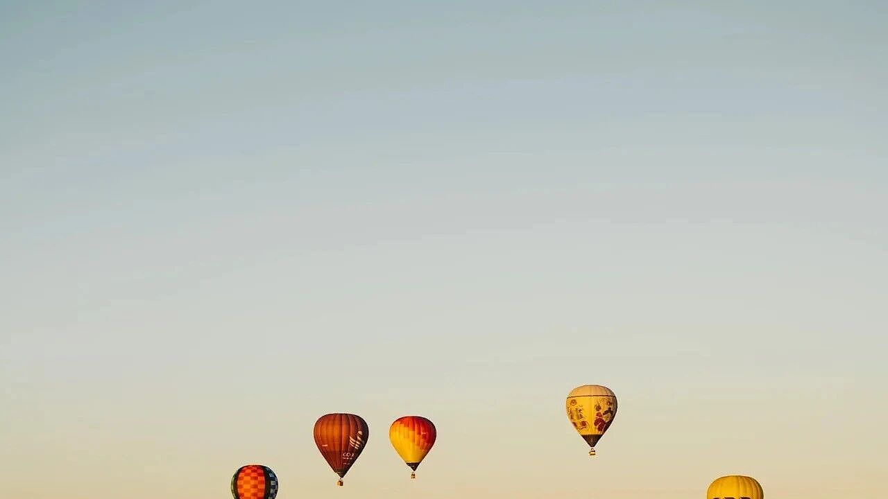 3月的浪漫属于首都堪培拉🎈 - 1