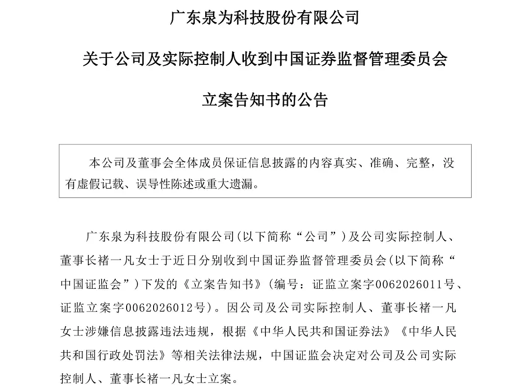 广东“95后”美女董事长被查.....（组图） - 1