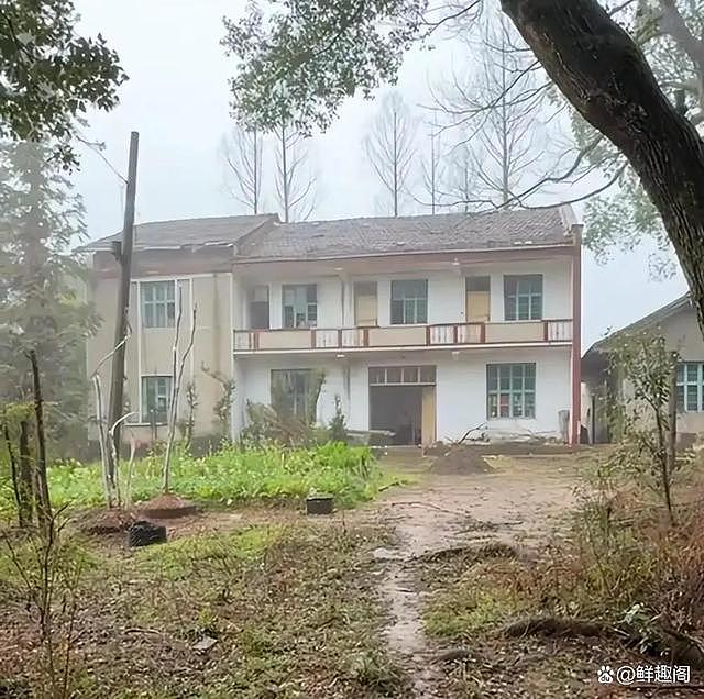 湖南一退休干部独居孤岛10年,方圆10公里就一人!每周给家人送有机菜,网友热议(组图) - 2