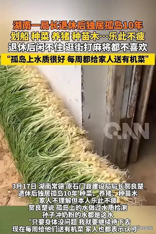 湖南一退休干部独居孤岛10年,方圆10公里就一人!每周给家人送有机菜,网友热议(组图) - 3