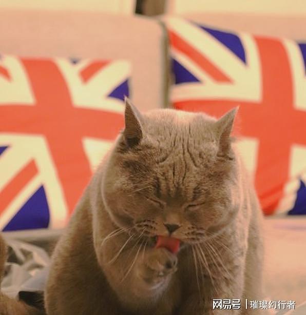 中式英语杀疯全球,美国急了:再不管控,英语要变成中文方言?(组图) - 2