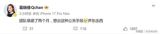 张雨绮又怀孕了登上热搜,前夫袁巴元的前妻葛晓倩发文(组图) - 4