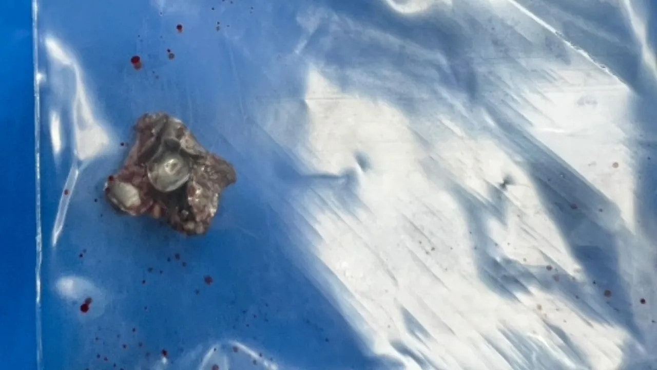 中国游客脸部中弹!射击场意外走火,涉事员工被控两项罪名(组图) - 3