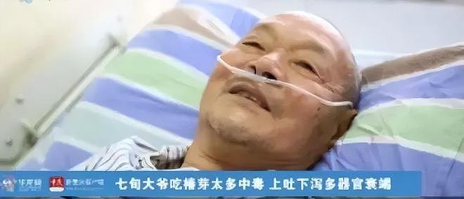 吃完香椿炒鸡蛋后，男子多器官衰竭！这起悲剧，给所有人敲响警钟（组图） - 3
