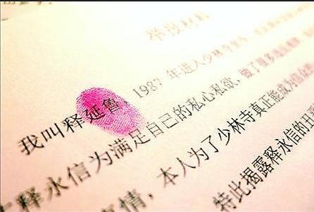 大师释永信,爆出倒台真相(组图) - 5