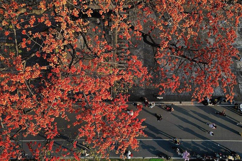 南韩子女孝道旅行,从济州岛变中国这城市:舒服又便宜(组图) - 5