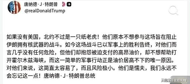 劲报！伊朗又一高官遭斩首，川普痛骂北约盟友是“懦夫”（组图） - 6