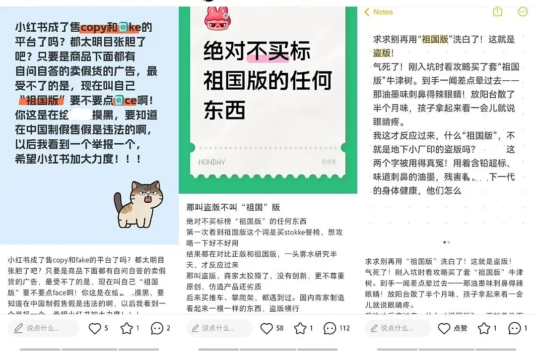 “祖国版”即盗版，为何横行小红书？ - 10