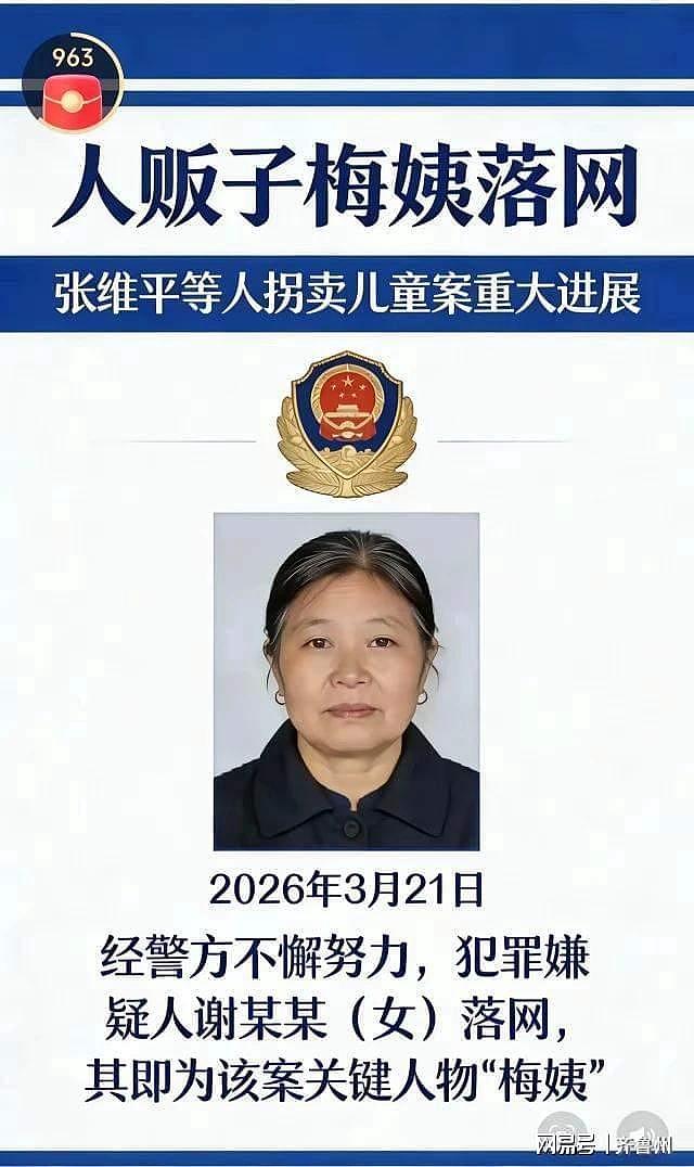 藏了22年!梅姨能躲过全网通缉,靠的根本不是运气!(组图) - 2