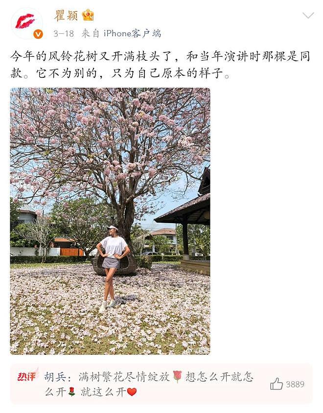 瞿颖、刘晓庆、倪萍、唐国强…“上世纪艺人”集体翻红（组图） - 1