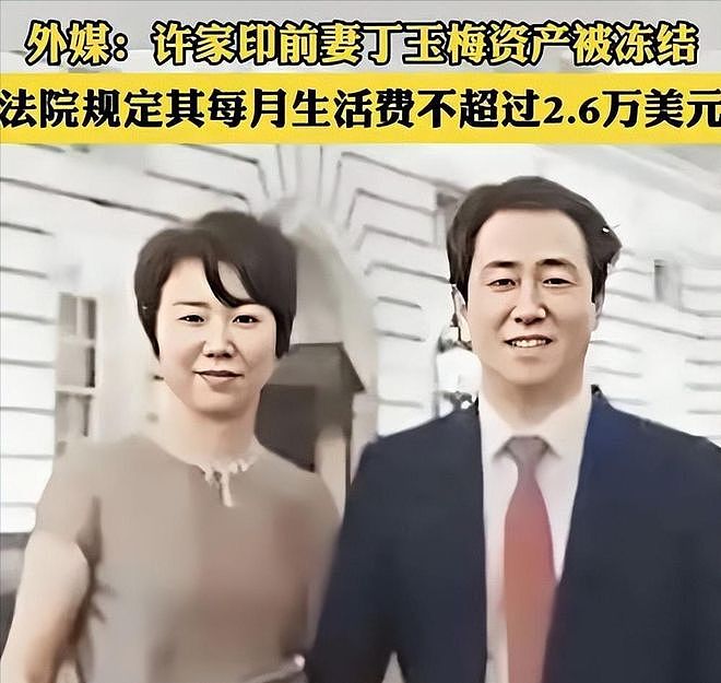 国家出手!追缴许家印3200亿,前妻丁玉梅成关键,被全球“通缉” - 5