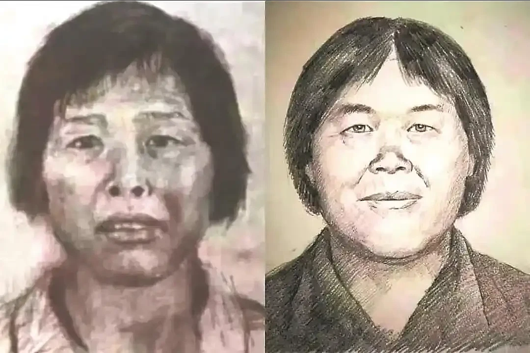 一文读懂“梅姨案”始末，9名被拐孩子已全部找回（组图） - 1
