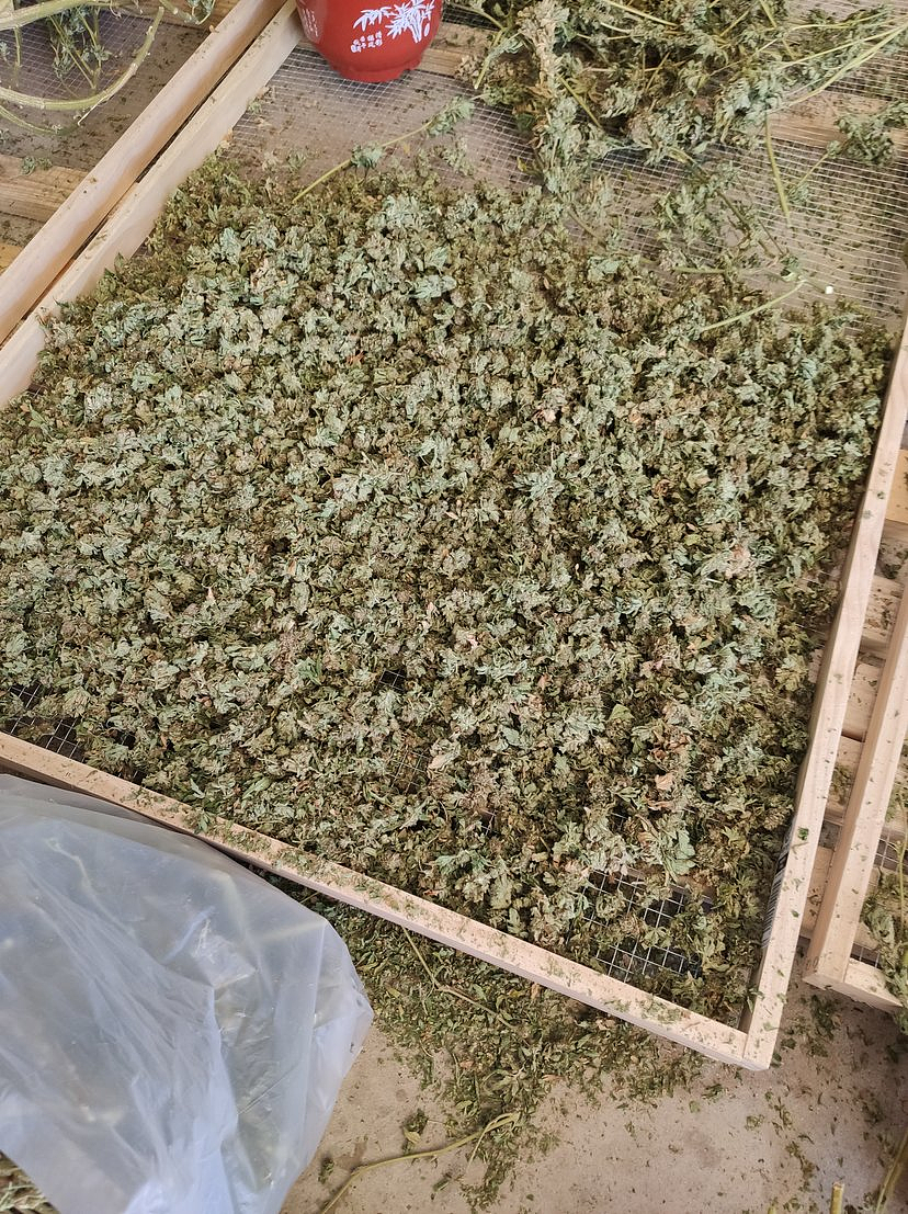 西澳华裔餐馆老板犯下重罪,被判七年监禁,妻儿恐被驱逐出境(组图) - 4