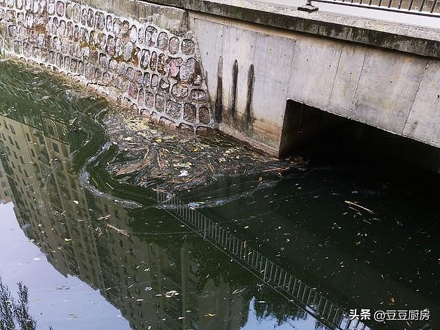 有4种鱼已经上“黑榜”了，卖鱼的自己都不碰，但还有人经常吃（组图） - 12